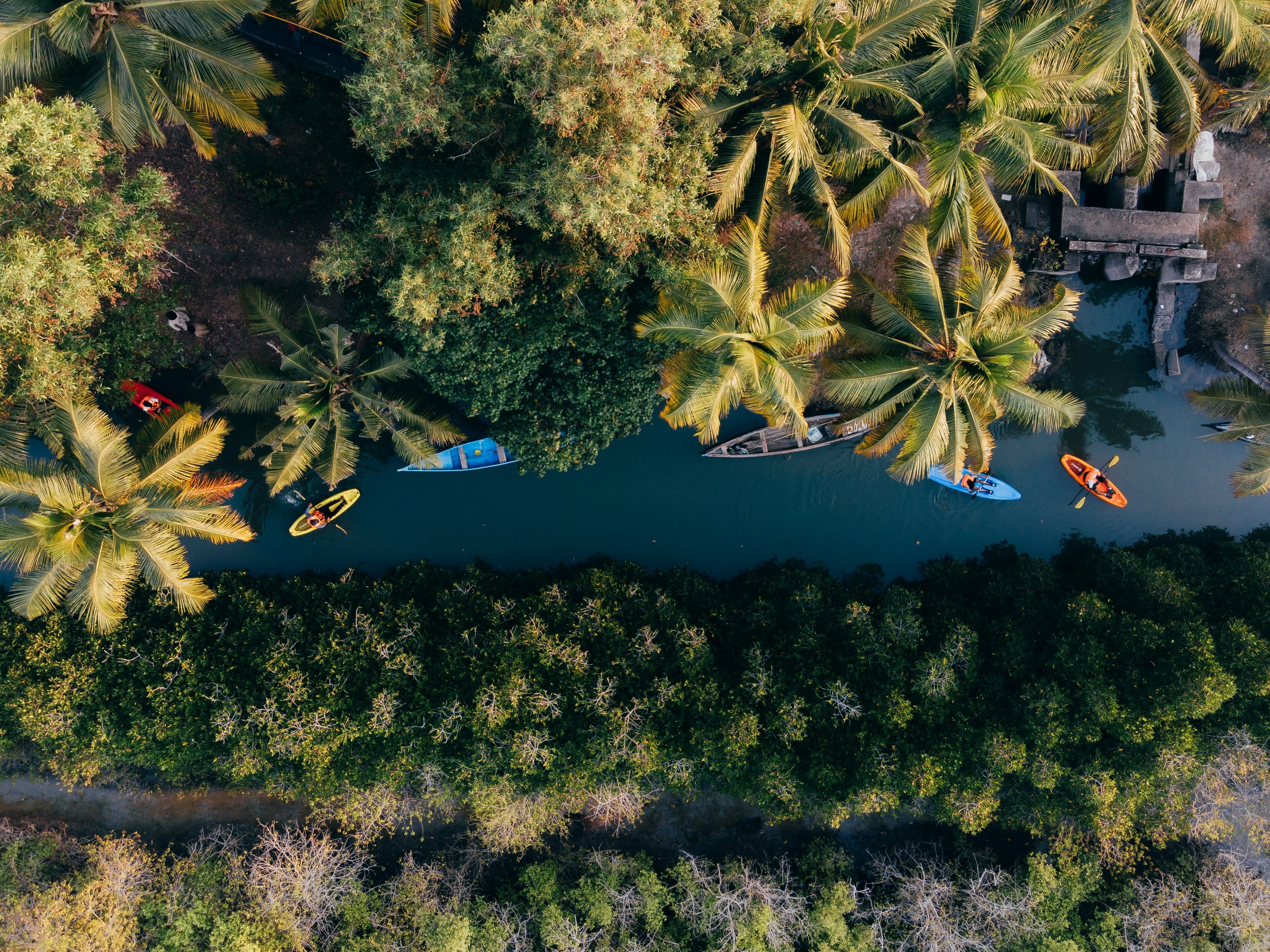 Best Time to Visit Alleppey – Weather Guide, Seasons & Travel Tips